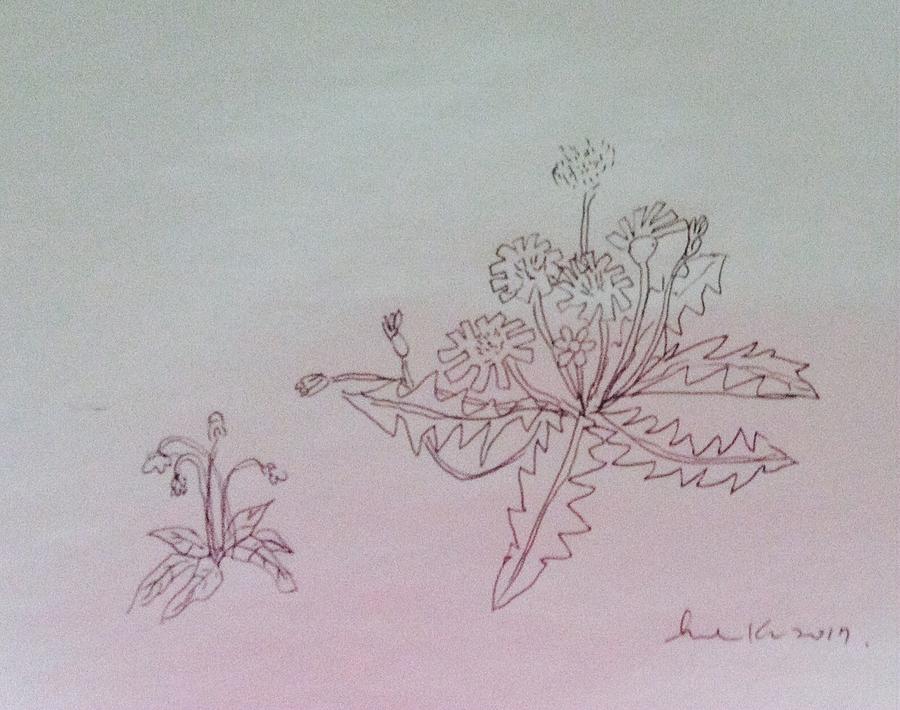 Spring flower  Drawing by Hae Kim