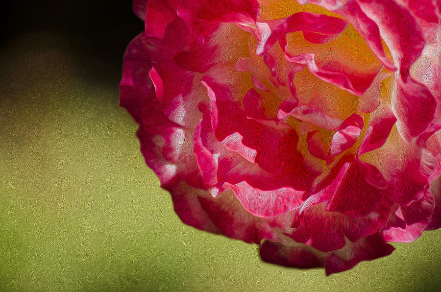 Spring Flower Oil Photograph