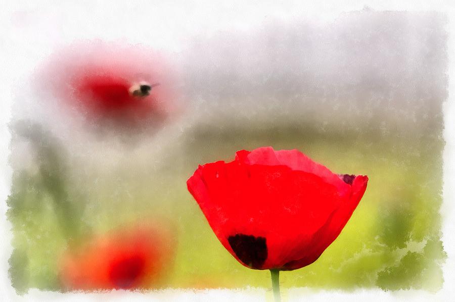 Spring flowering poppies Digital Art by Michael Goyberg