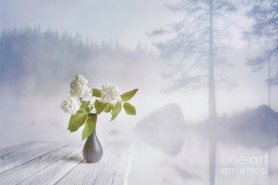 Nature Mixed Media - Spring flowers 2 by Veikko Suikkanen