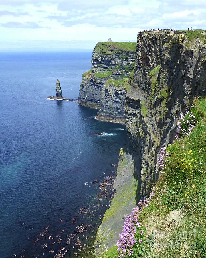 Spring Flowers at Cliffs of Moher Photograph by Barbie Corbett-Newmin