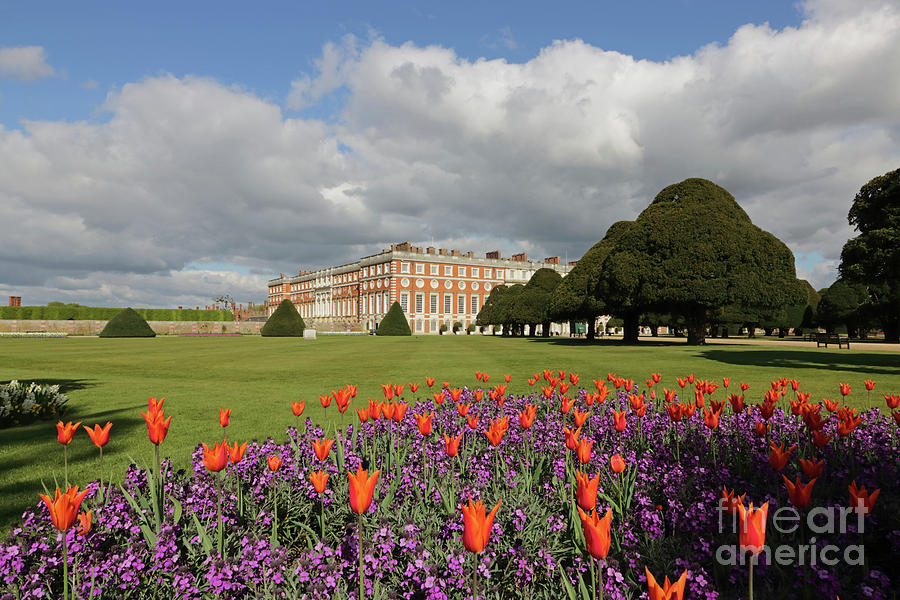 Spring flowers at Hampton Court Palace  Photograph by Julia Gavin