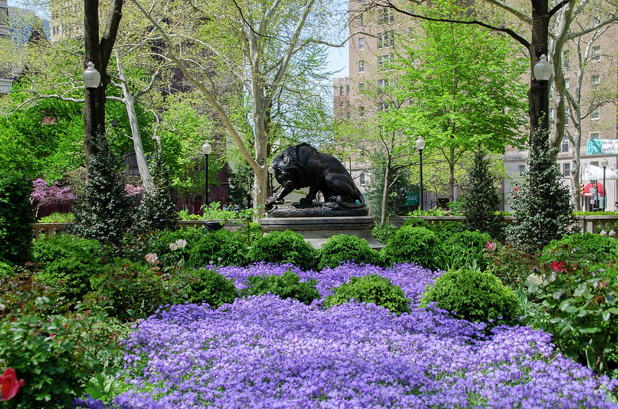 Spring Flowers at Rittenhouse Square Photograph by Bill Cannon