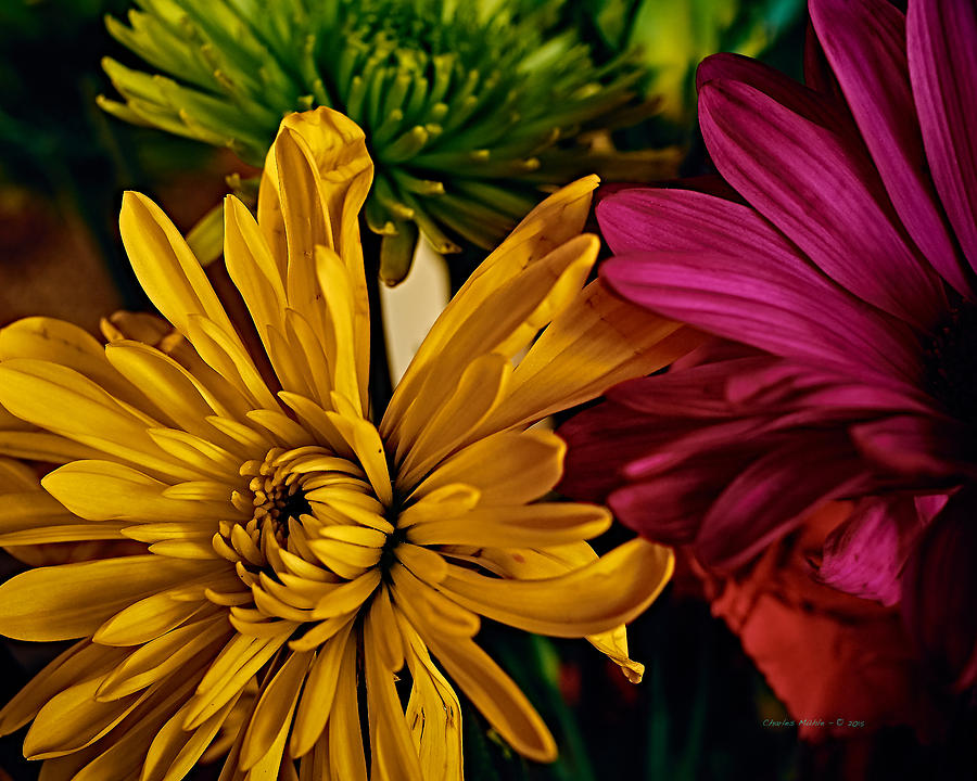 Spring flowers Photograph by Charles Muhle