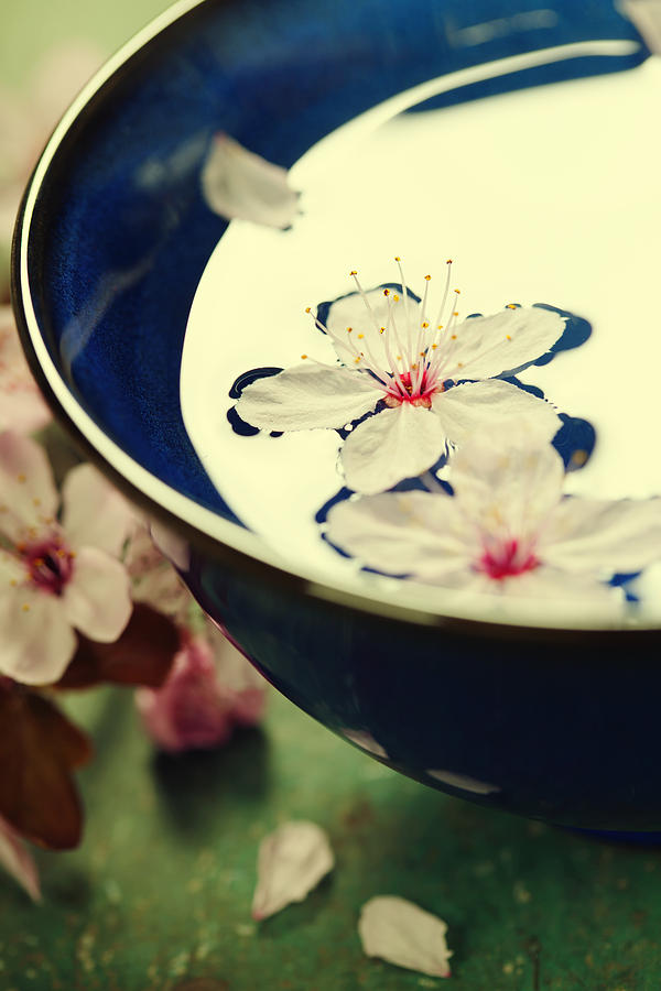 Spring Flowers In Blue Bowl Photograph by Natalia Klenova | Fine Art ...