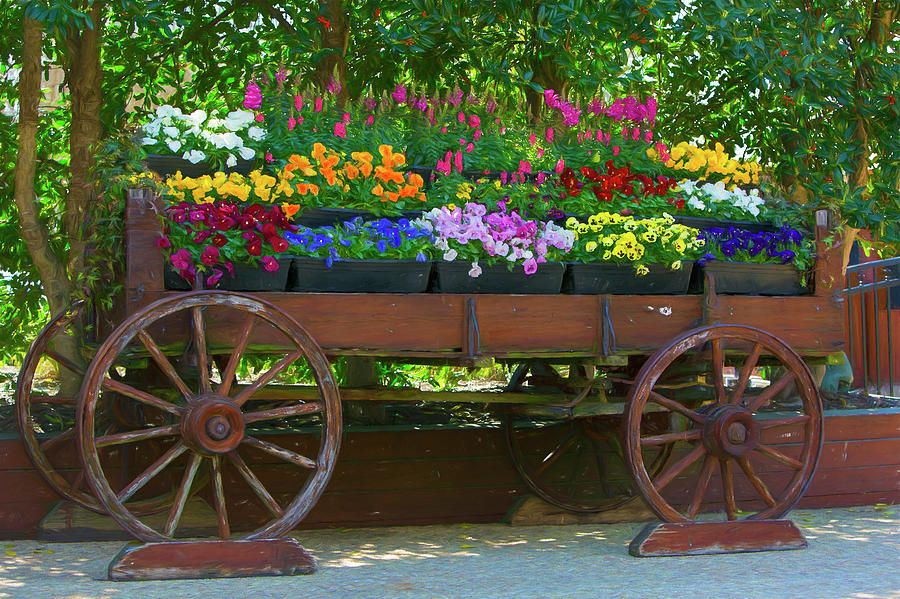 Spring Flowers In Cart Photograph