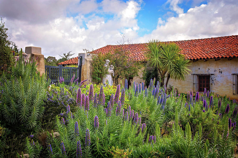 Spring Flowers in the Carmel Mission Garden Photograph by Lynn Bauer