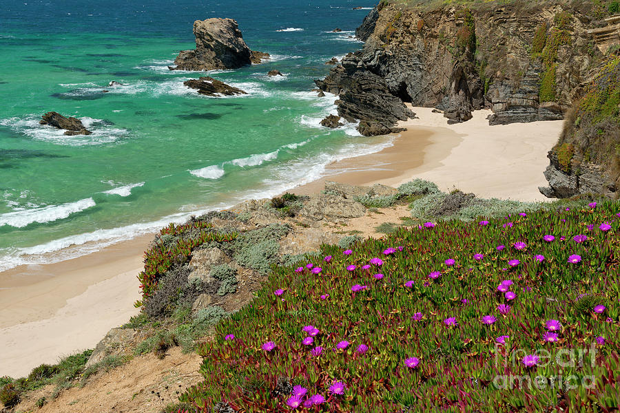 Spring Flowers On The Cliffs Photograph by Mikehoward Photography
