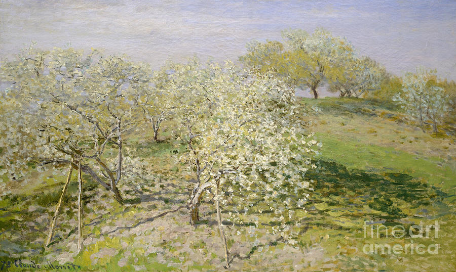 Spring, Fruit Trees in Bloom, 1873 Painting by Claude Monet