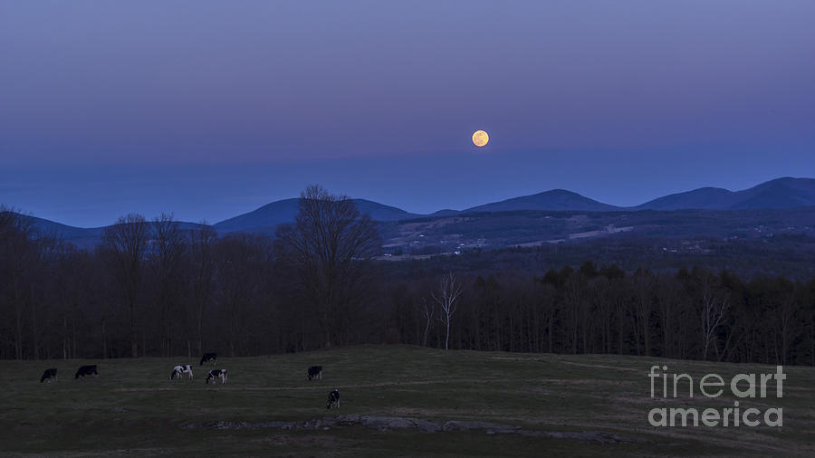 Spring full moon Photograph by Scenic Vermont Photography