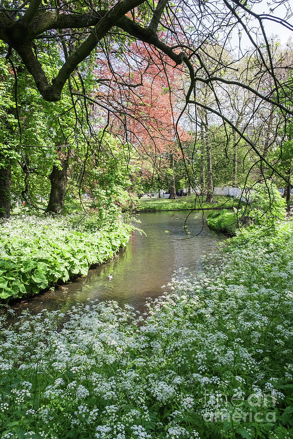 Spring Garden, Het Park, Rotterdam Photograph by Philip Preston