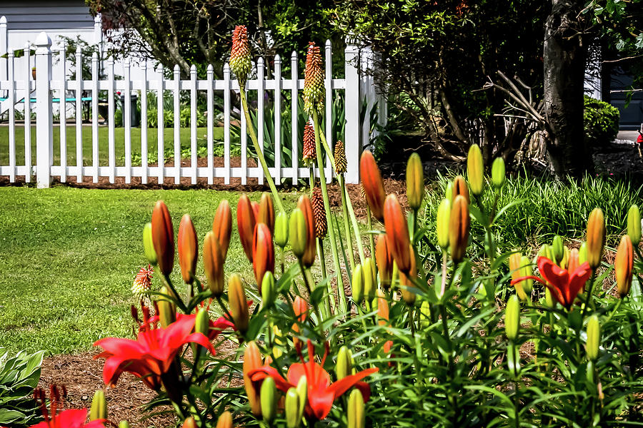Spring Garden in bloom. Digital Art by Ed Stines
