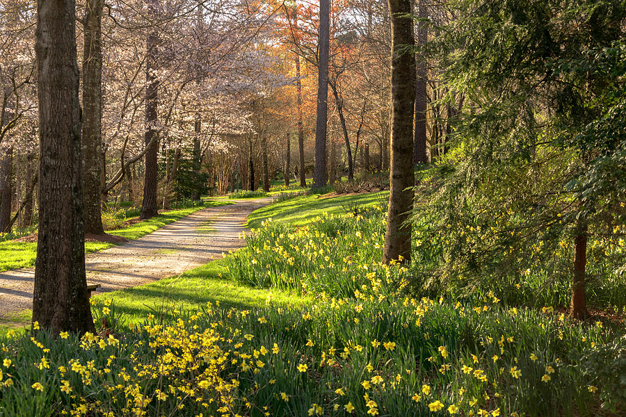 Spring Garden Path by Keith Smith Spring Garden Path by Keith Smith