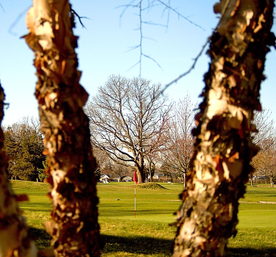Spring Golf Photograph by  Newwwman