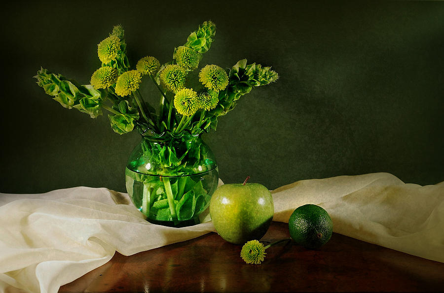 Spring Green Photograph by Diana Angstadt
