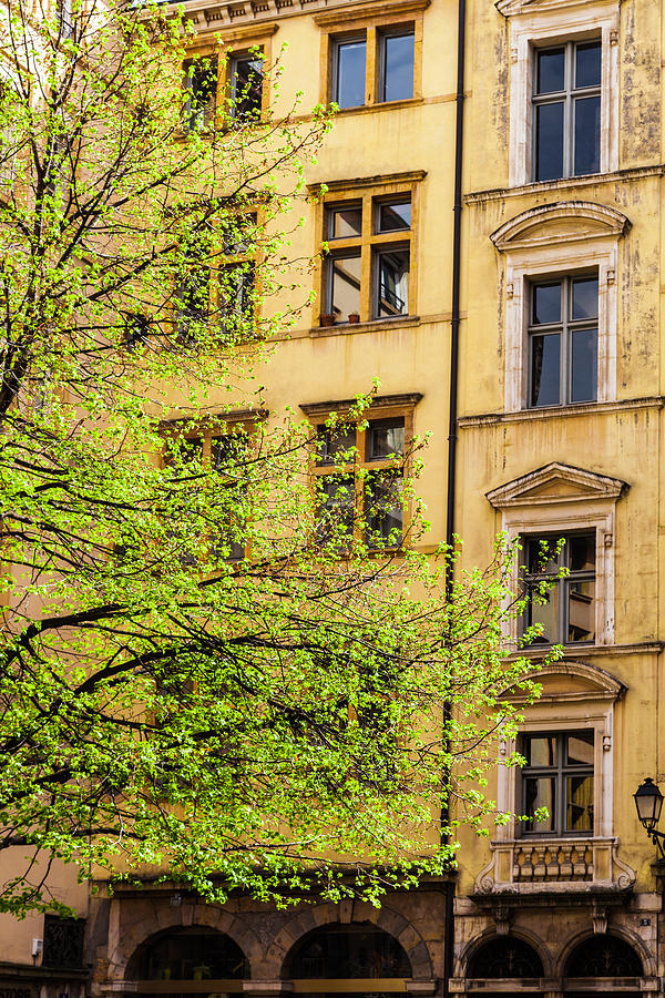 Spring Green in Lyon Photograph by W Chris Fooshee