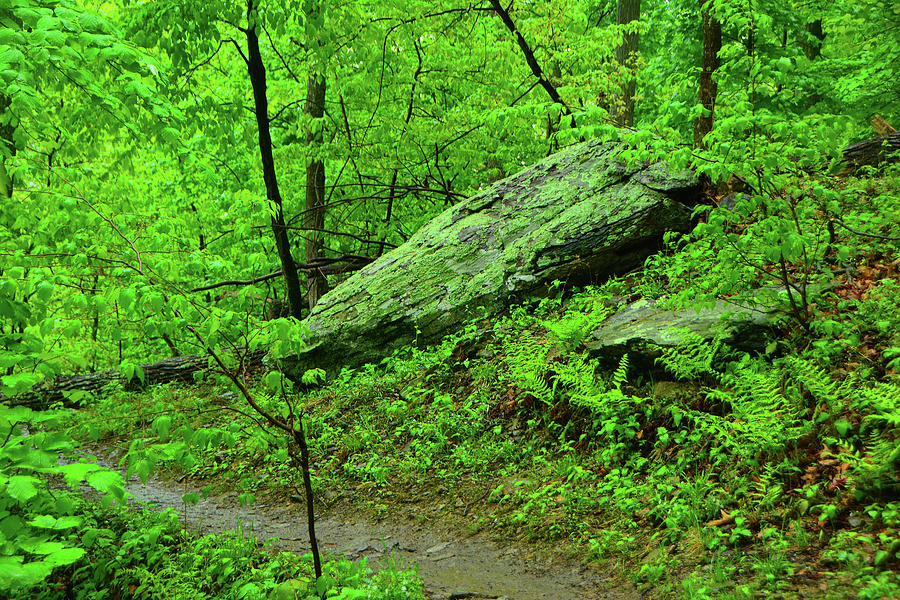 Spring Green in West Virginia Photograph by Raymond Salani III