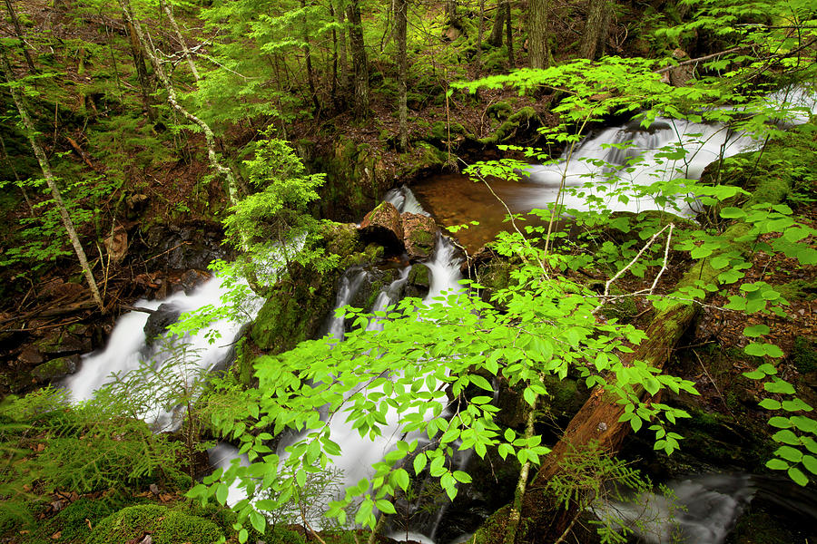 Spring Greens And Waterfalls #1 Photograph by Irwin Barrett