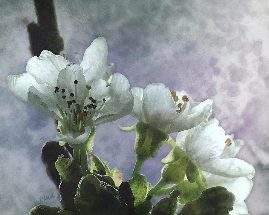 Spring Greetings Digital Art by Iina Van Lawick