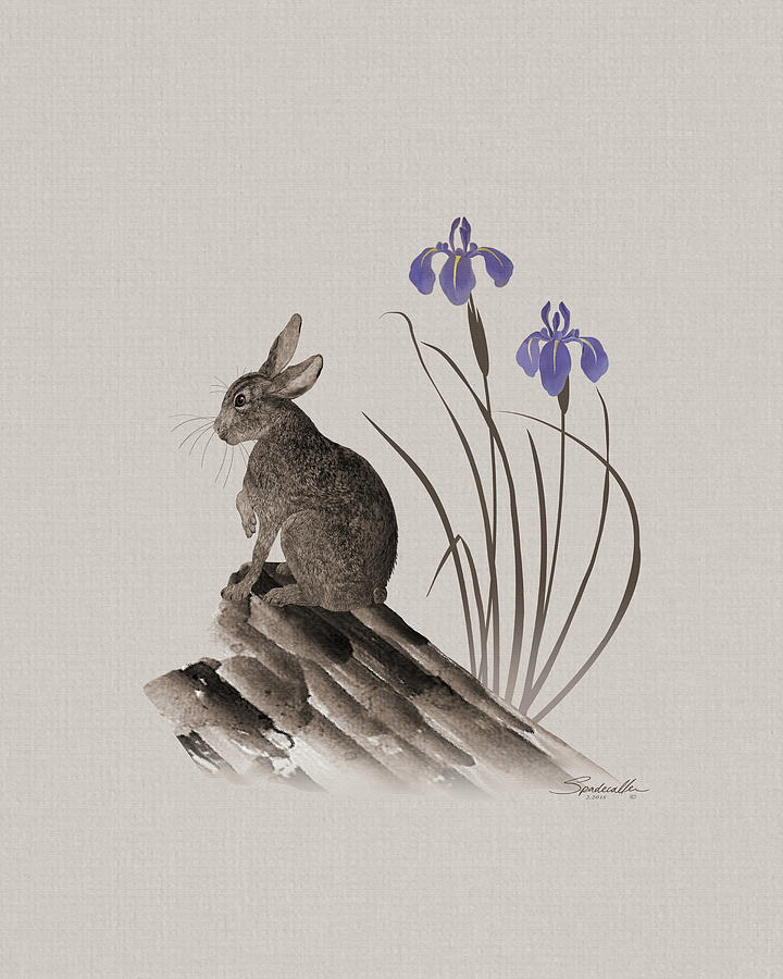 Spring Hare  Digital Art by M Spadecaller