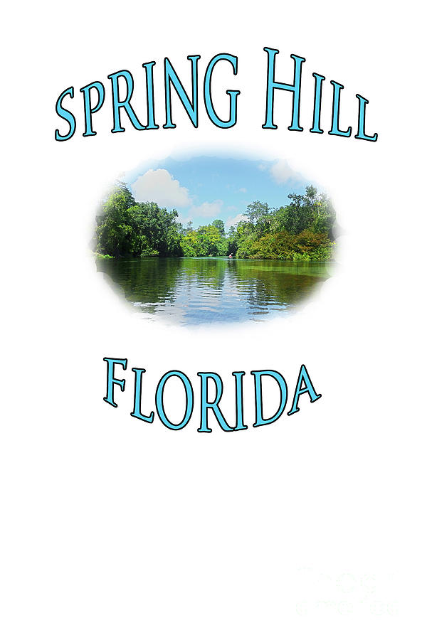 Spring Hill Florida Photograph by Judy Hall-Folde