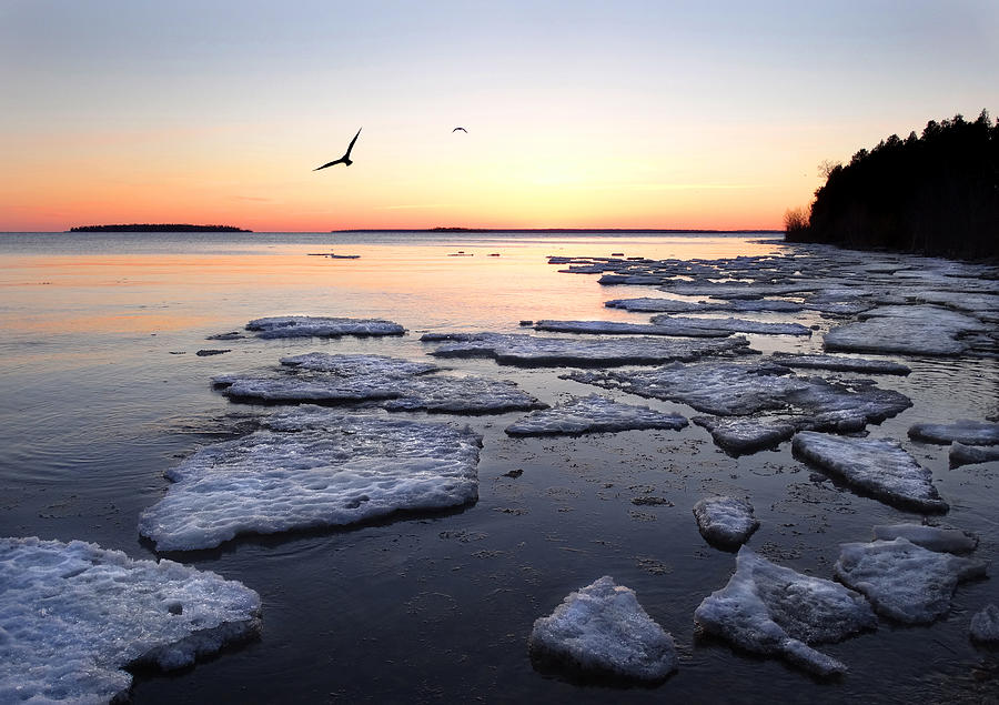 Spring Ice Breakup Photograph by David T Wilkinson