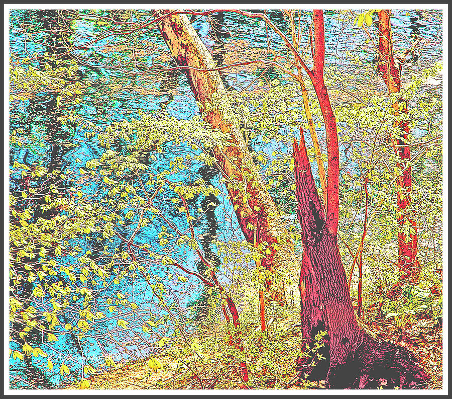 Spring in an Eastern, U.S. Forest Digital Art by A Macarthur Gurmankin