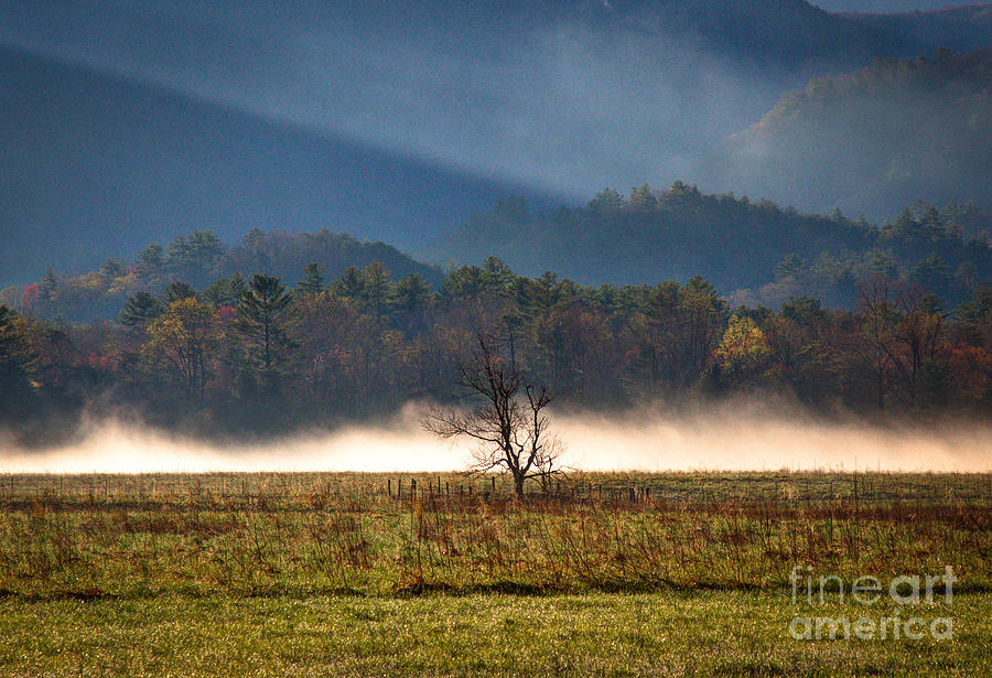 Spring in Cades Cove 2016 Photograph by Douglas Stucky