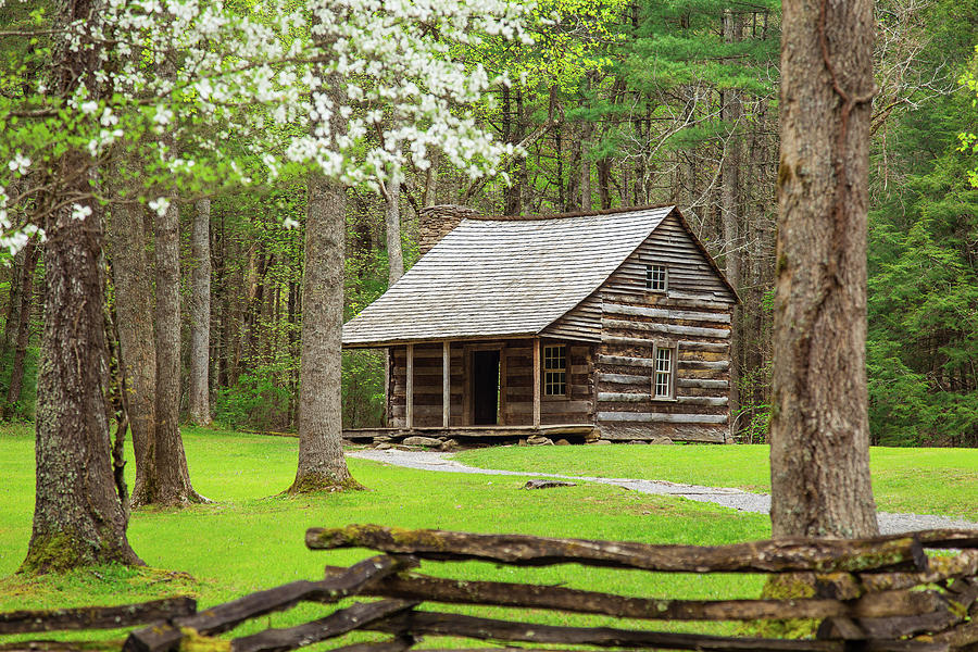 Spring in Cades Cove Photograph by Jackie Novak - Fine Art America