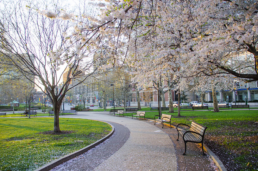 Spring In Center City Philadelphia Photograph by Bill Cannon