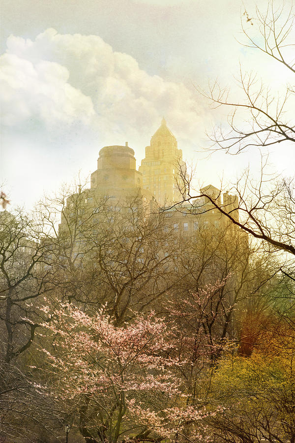 Spring in Central Park Photograph by Wild Sage Studio Karen Powers