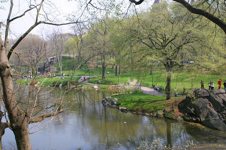 Spring In Central Park Photograph by Living Color Photography Lorraine Lynch