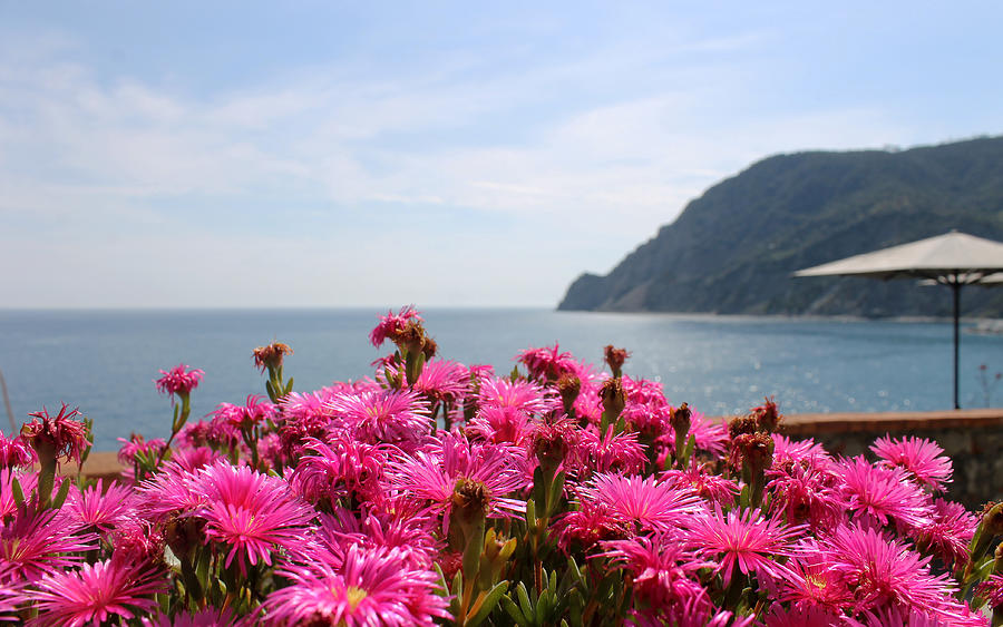 Spring In Cinque Terre Photograph