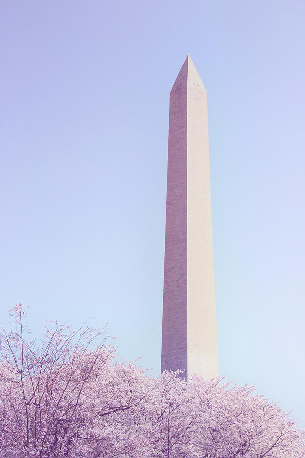 George Washington Photograph - Spring in D C by Iryna Goodall