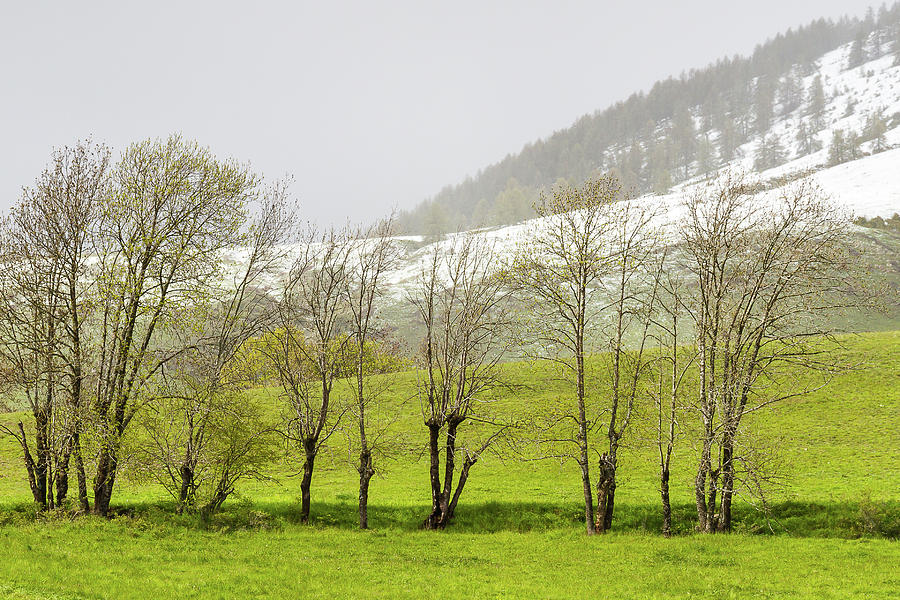 Spring in French Alps - 2 Photograph by Paul MAURICE