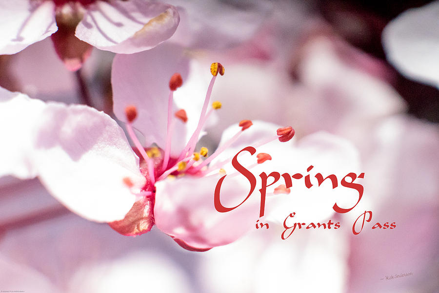 Spring in Grants Pass Photograph by Mick Anderson