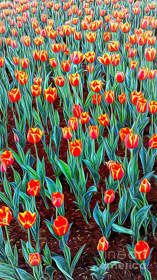 Spring In Holland Painting by Ian Gledhill