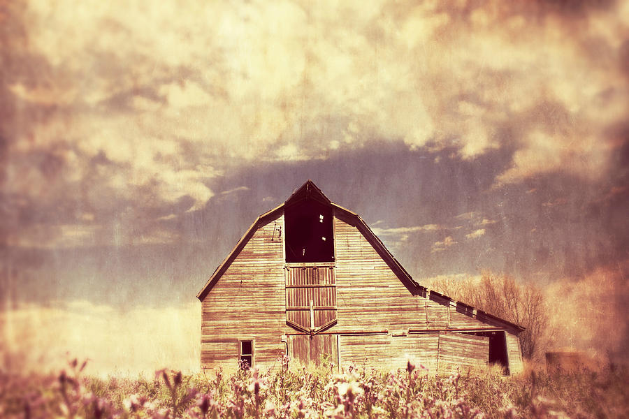 Spring in Kansas  Photograph by Julie Hamilton