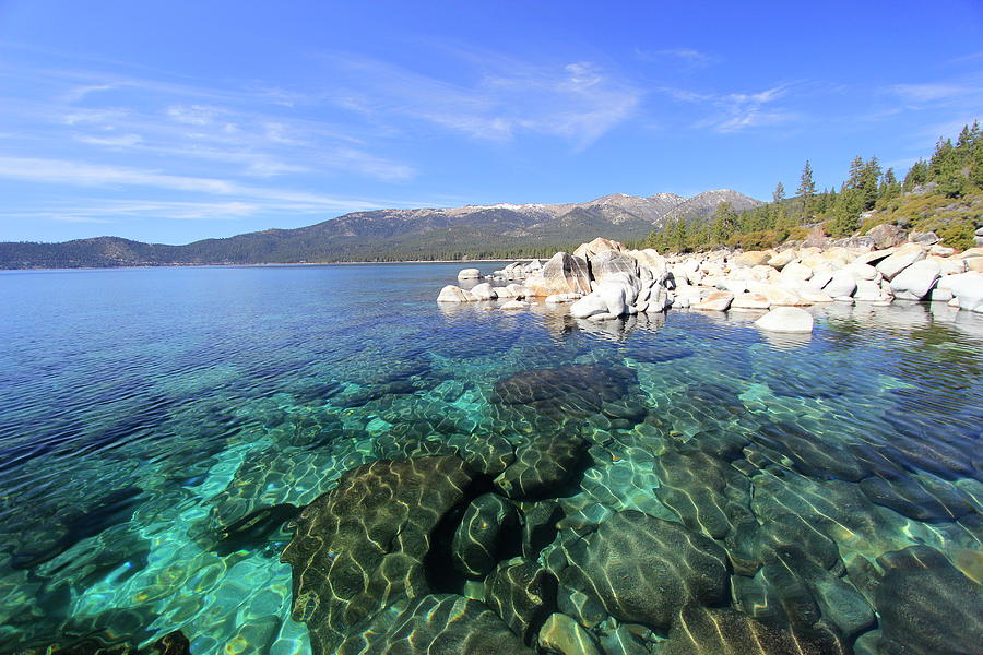 Spring In Lake Tahoe Photograph by Sean Sarsfield