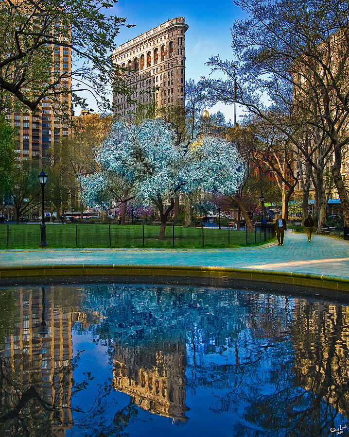 Spring In Madison Square Park Photograph