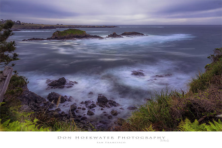 Spring in Mendocino Photograph by Don Hoekwater Photography