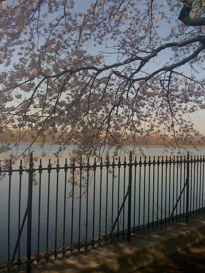 Spring in New York City Photograph by Wendy Uvino - Fine Art America