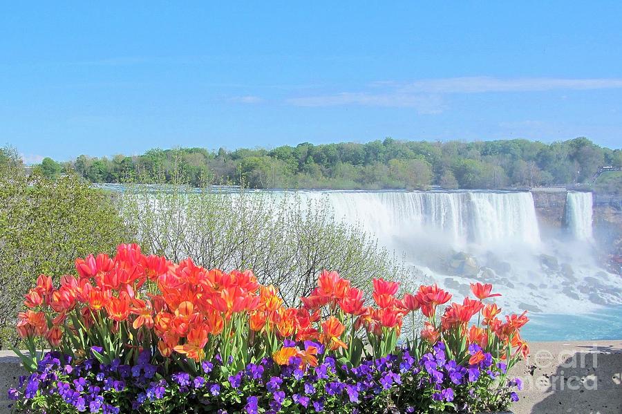 Spring in Niagara Falls Photograph by Jackie Tweddle Fine Art America