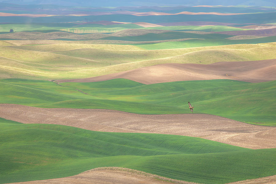 Spring in Palouse 0793 Photograph by Kristina Rinell