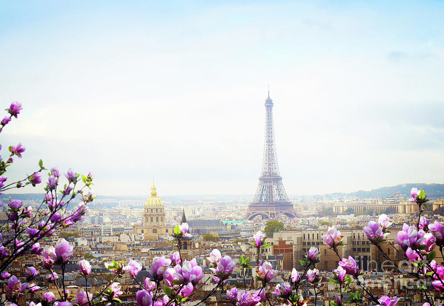 Spring in Paris Photograph by Anastasy Yarmolovich
