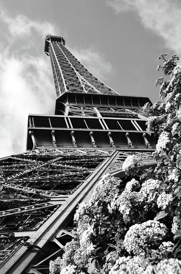 Spring in Paris France Flowers Beneath Eiffel Tower Unique Perspective Black and White Photograph by Shawn OBrien