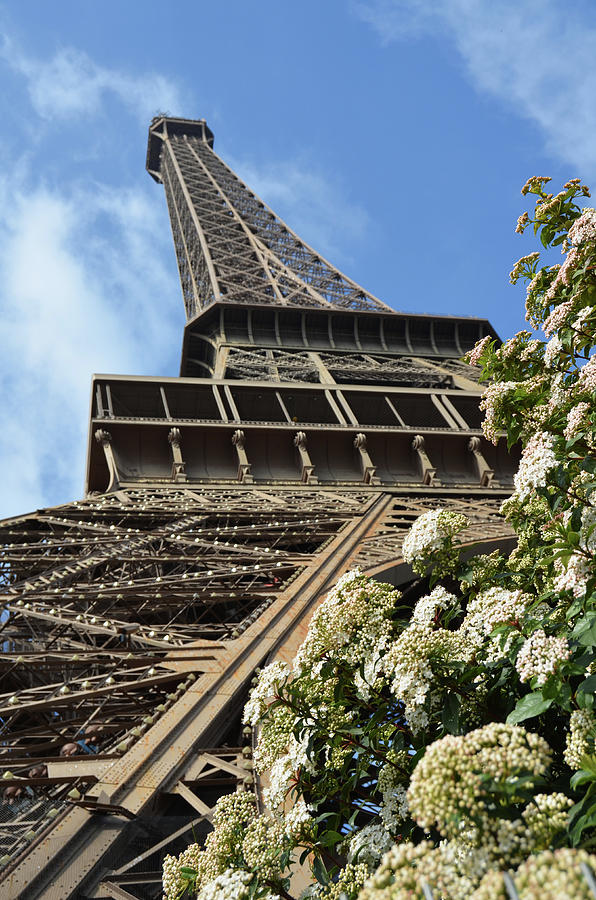 Spring in Paris France Flowers Beneath Eiffel Tower Unique Perspective Photograph by Shawn OBrien