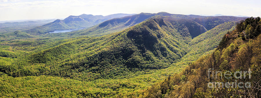 Spring In South Carolina Wilderness, Panorama Photograph by Felix Lai
