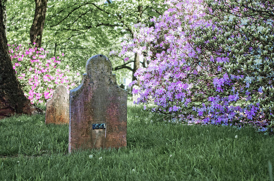 Spring in the Cemetery Photograph by Sharon Popek