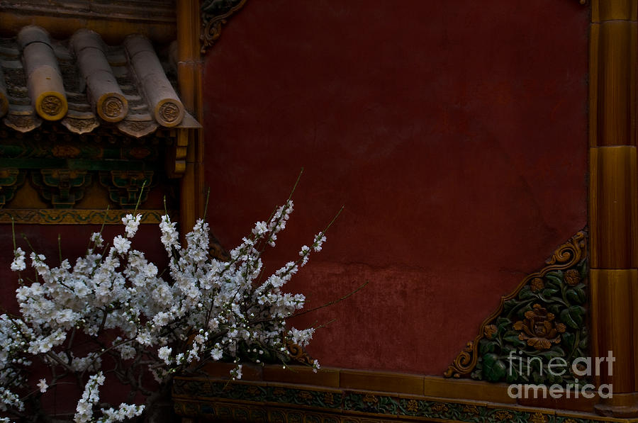 Spring in the Forbidden City Photograph by Venetta Archer